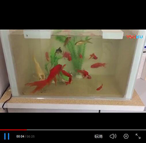 有釉面發(fā)泡陶瓷保溫板防水魚(yú)缸 有釉面發(fā)泡陶瓷保溫板防水魚(yú)缸